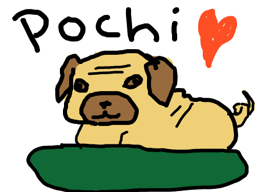 Pochi : This is Ren ren's dog, Pochi. He is a pug. Hahahahahah... 스케치판 ,sketchpan