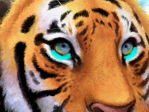 눈물이 글썽글썽맺힌 호랑이 : 호라이의 눈밑에 눈물이 글썽글썽 맺혀 있다. 스케치판 ,sketchpan