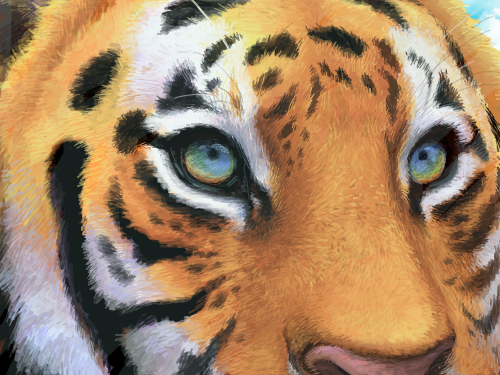 호랑이 : ........................... 스케치판 ,sketchpan