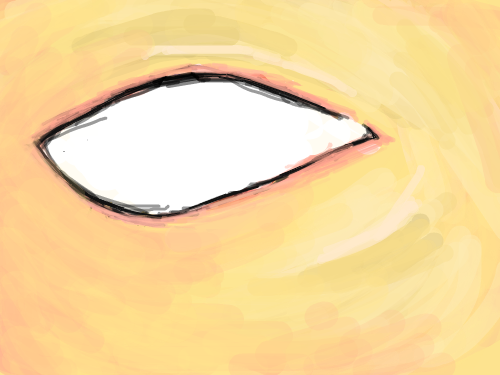 중간저장 : 중간저장 스케치판 ,sketchpan