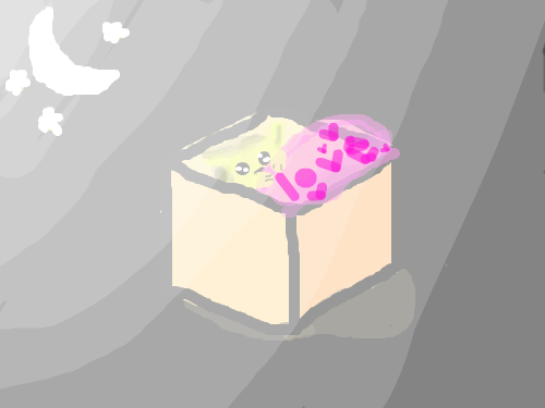 빛나는 밤하늘에 고양이박스 : 빛나는 밤하늘에 고양이가 이상한 핑크 물체를 들고 있는 박스..... 스케치판 ,sketchpan