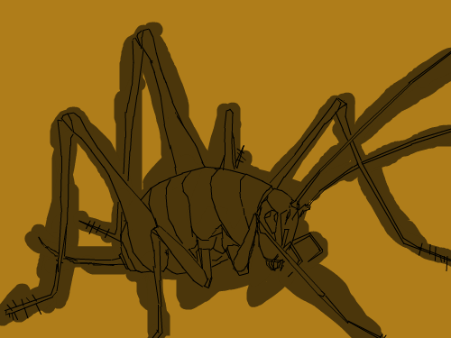 cccccccc : ccㅇㅇㅇ 스케치판 ,sketchpan