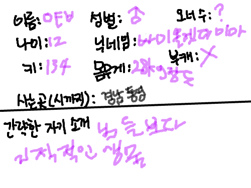 심심작 : 이건뭐지 스케치판 ,sketchpan