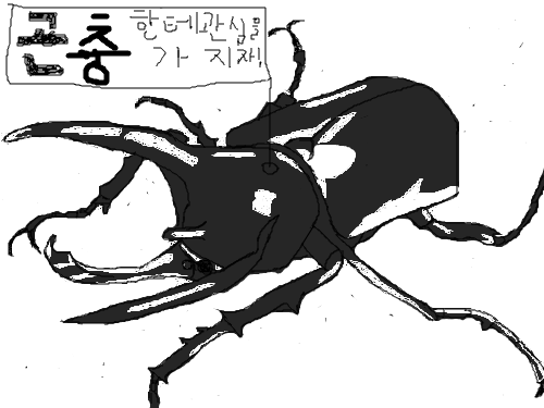 코카서스장수풍뎅이 : 코카서스장수풍뎅이를따라그려본것 스케치판 ,sketchpan