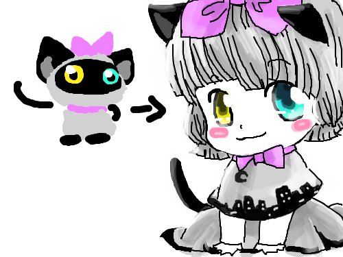 고양이 : 이것저것색칠하다가...완성ㅋ 스케치판 ,sketchpan