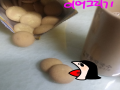 명동칼국.. : 명동칼국수? 스케치판 ,sketchpan