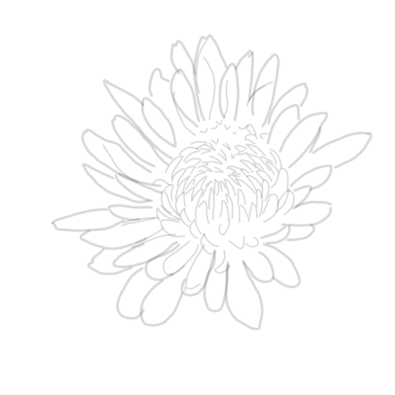 flordeorto : flordeorto 스케치판 ,sketchpan