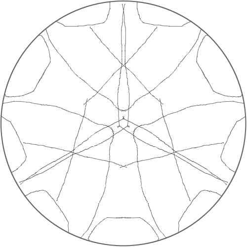  ㅣ너구리 : 너구리 너구리 너구리 너구리 스케치판 ,sketchpan