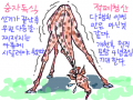 ....... : ..... 스케치판 ,sketchpan