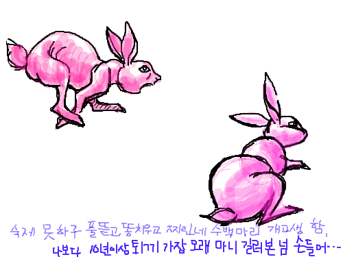 ...... : ....... 스케치판 ,sketchpan