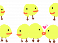 chu~ : 병아리 뽀뽀♡ 스케치판 ,sketchpan