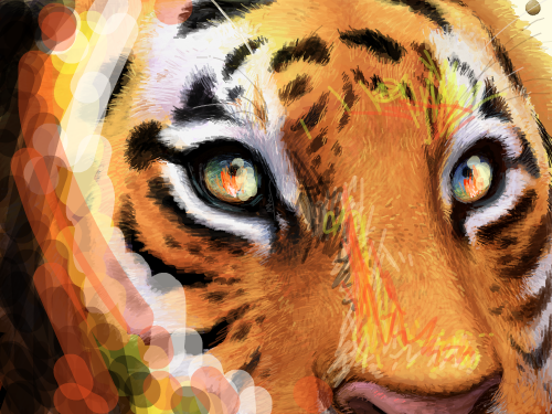 히히 : 불보는호랭이 스케치판 ,sketchpan