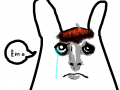 emo bunny : emo bunny 스케치판 ,sketchpan