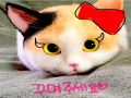   :   스케치판 ,sketchpan