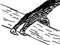 발톱 : 새발톱임.... 스케치판 ,sketchpan