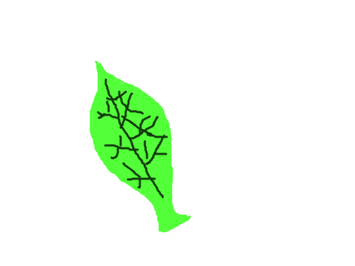 나뭇잎 : 나뭇잎... 이상해.ㅋㅋ 첫작품 스케치판 ,sketchpan