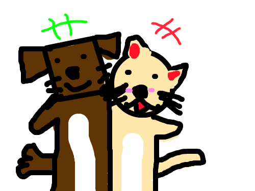 강아지와 고양이 : 아주 친한 강아지와 고양이 입니당 스케치판 ,sketchpan