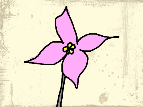 꽃2다시했음 : 예쁘죠~~~~ 스케치판 ,sketchpan