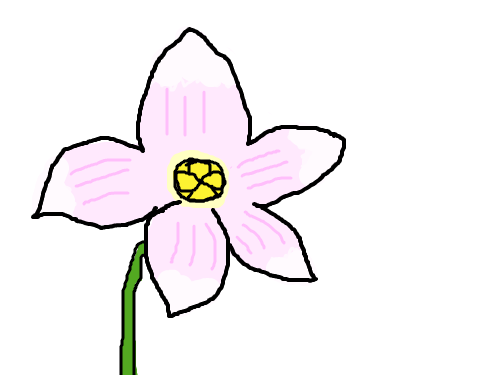 예쁜 핑크색 꽃 : 꽃이 핑크색깔 이다. 스케치판 ,sketchpan