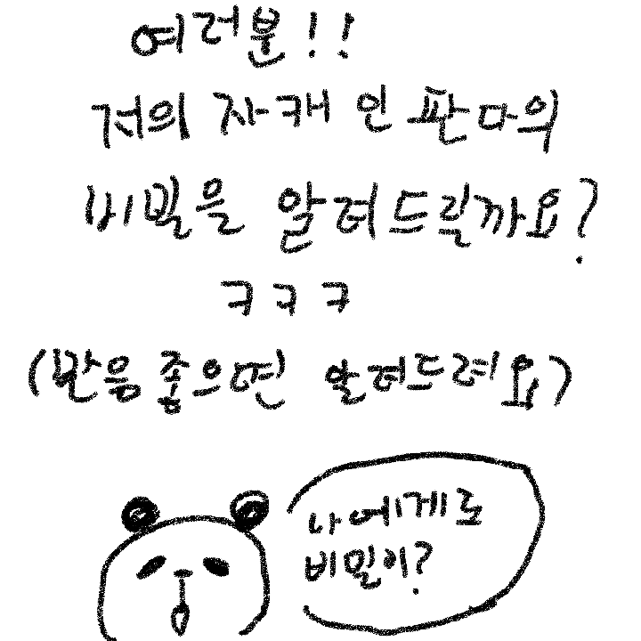 판다의 비.. : 판다의 비밀!!(두둥) 스케치판 ,sketchpan