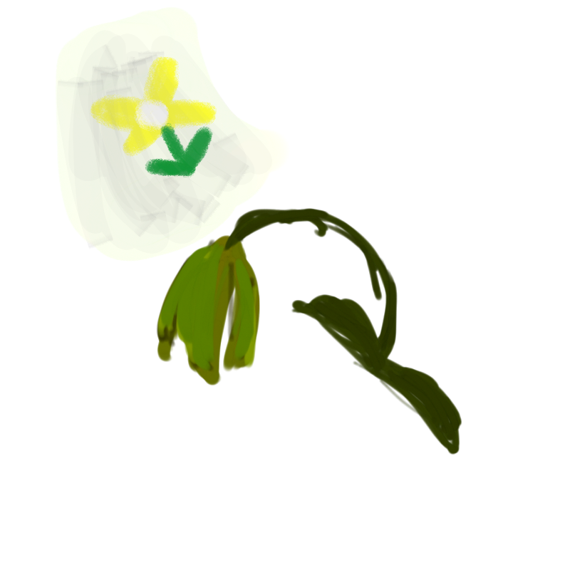 어느날, 꽃.. : 어느날, 꽃이 시들어 있었다. 완벽하게 물주고,햇빛 줬는데... 스케치판 ,sketchpan