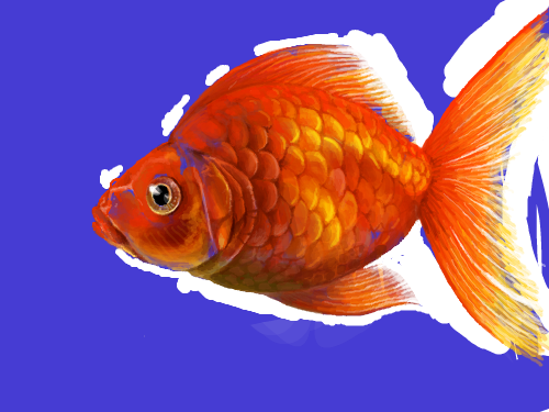   :   스케치판 ,sketchpan