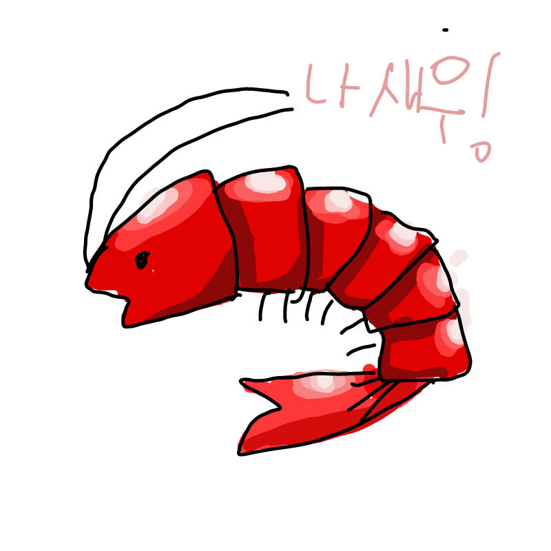 새우 : 새우 스케치판 ,sketchpan