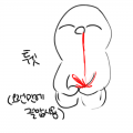 &nbsp; : &nbsp; 스케치판 ,sketchpan