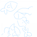 물고기 : 물고기 스케치판 ,sketchpan