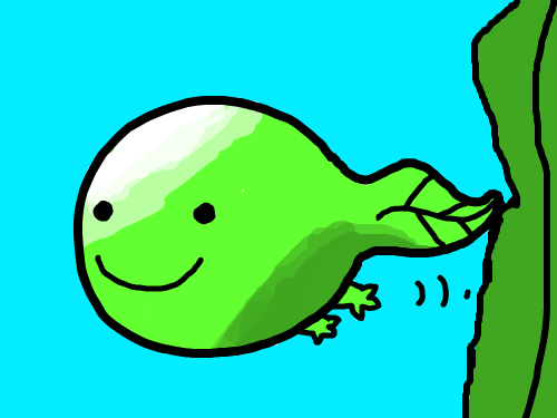 올챙이 : ㅋㅋㅋㅋㅇㅎㅇㅎ 스케치판 ,sketchpan