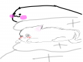 야웅 : 야웅 스케치판 ,sketchpan
