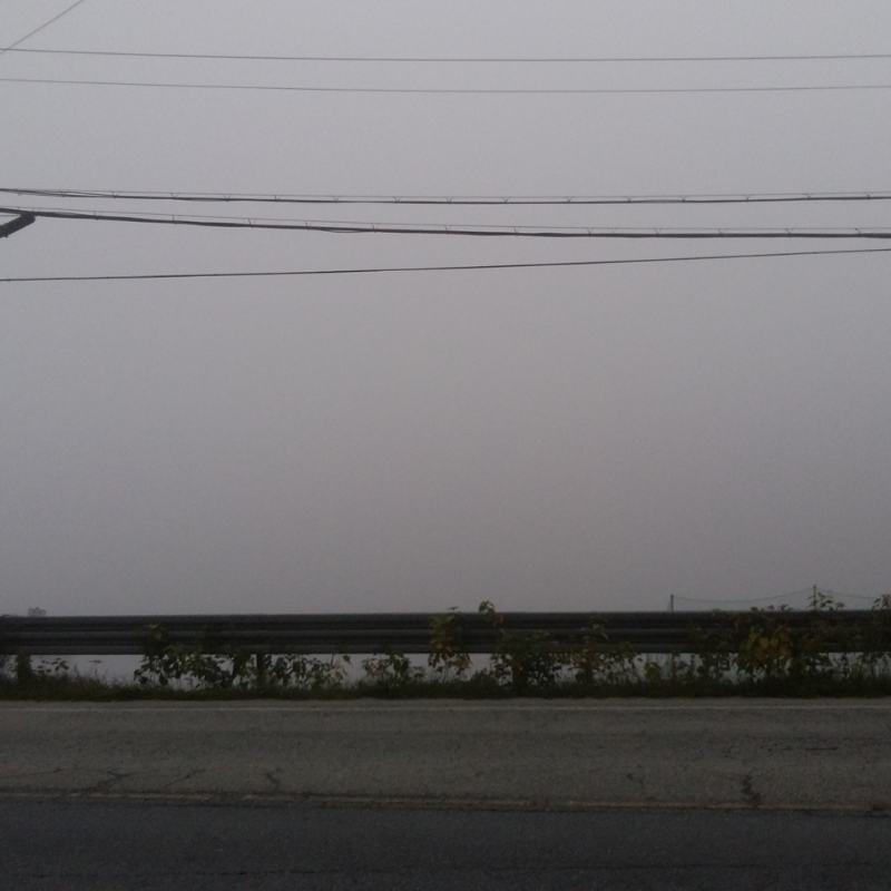 앞에 저수.. : 앞에 저수지 있는데 안개때문에 안보임;;; 사일런트힐 같애....;;; 스케치판 ,sketchpan