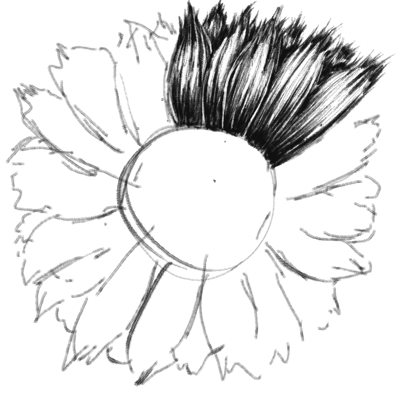 해바라기 : 해바라기 스케치판 ,sketchpan
