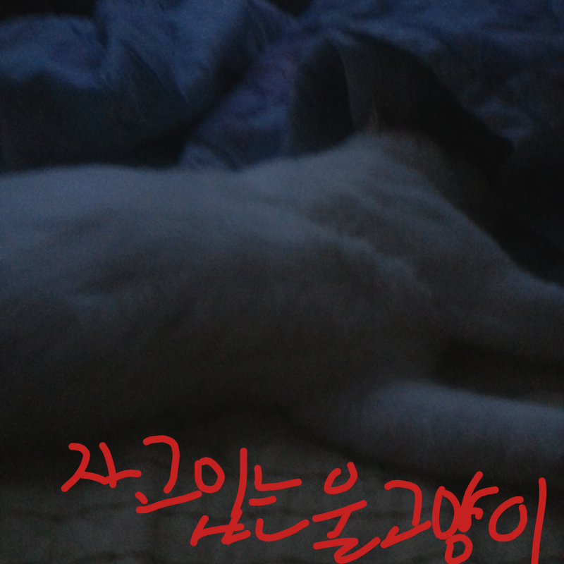 치즈 : 치즈 스케치판 ,sketchpan