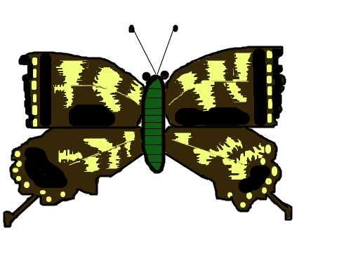 참 못그린 나비 : 나비가 참 못생겼음ㅋㅋ 스케치판 ,sketchpan
