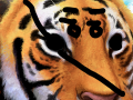 asdfasd : fasdfasdf 스케치판 ,sketchpan