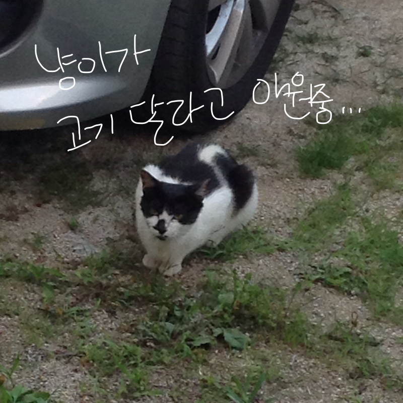   :   스케치판 ,sketchpan