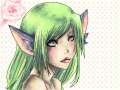 fox colored : ................................... 스케치판 ,sketchpan