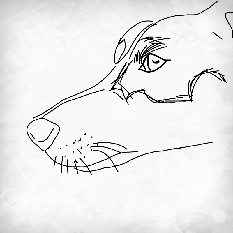 Jack : Jack 스케치판 ,sketchpan