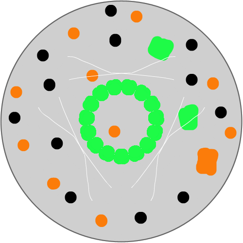 토 : &nbsp; 스케치판 ,sketchpan