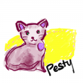 pesty the .. : pesty the cat 스케치판 ,sketchpan