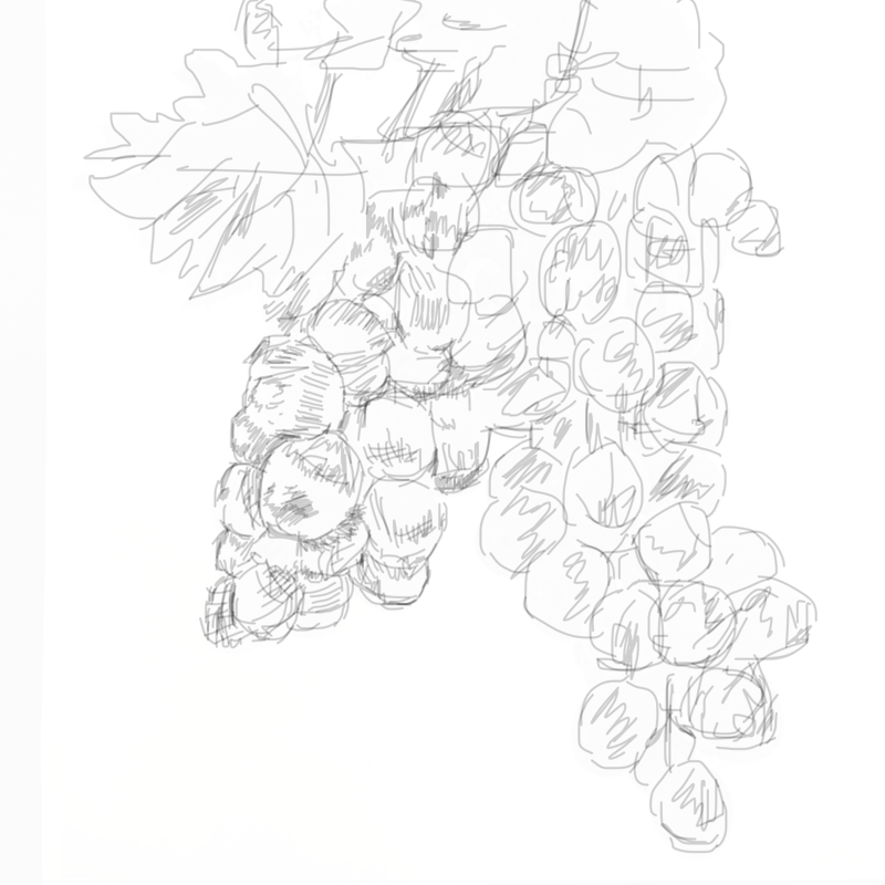 포1 : 포1 스케치판 ,sketchpan