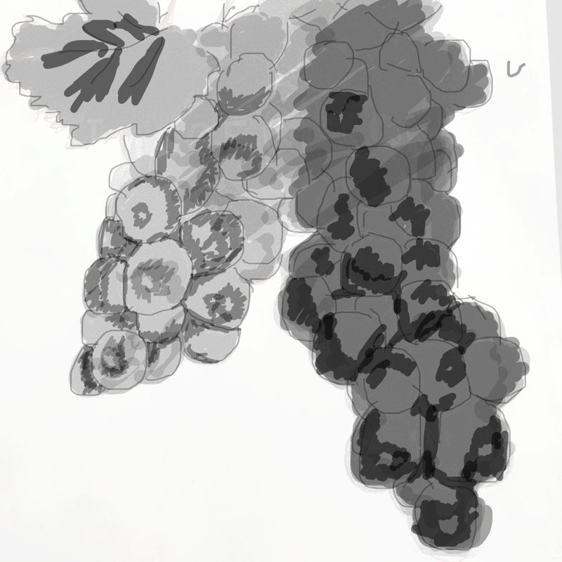 포1 : 포1 스케치판 ,sketchpan