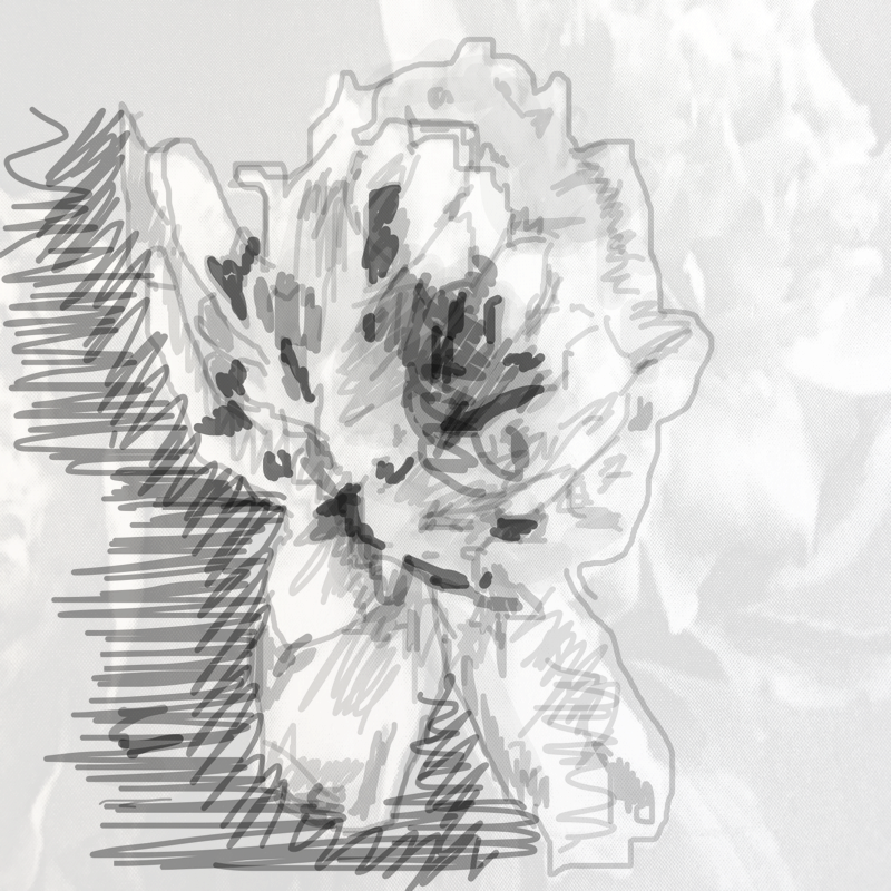 a : a 스케치판 ,sketchpan