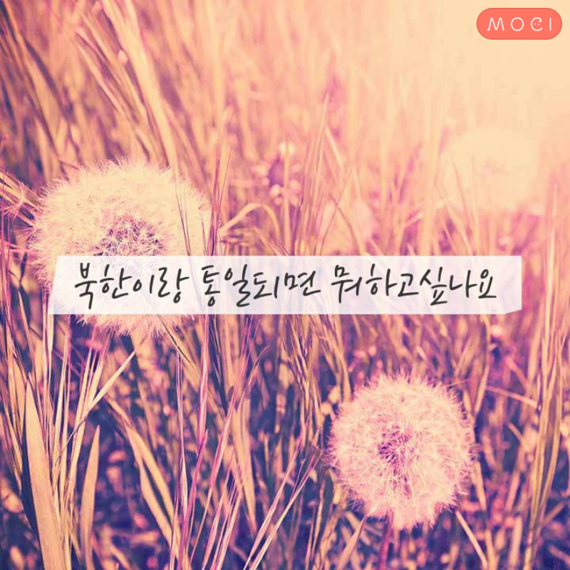 전 금강산 .. : 전 금강산 가고싶네요... 스케치판 ,sketchpan