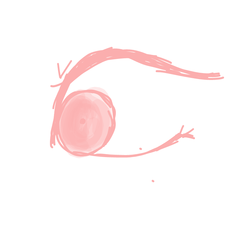 연습 : 연습 스케치판 ,sketchpan