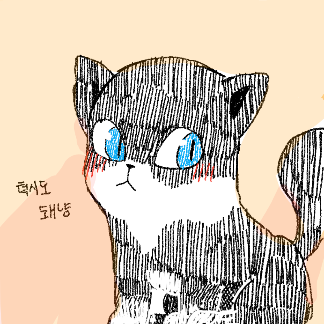   :   스케치판 ,sketchpan