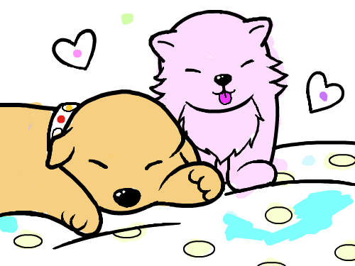 0827-강경주 : 고양이그리기 스케치판 ,sketchpan