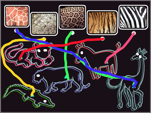 동물 긋기 : 동물들을 맞는 그림에 긋는 .... 스케치판 ,sketchpan