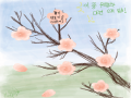   :   스케치판 ,sketchpan